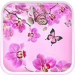 pink flowers live wallpaper android application logo